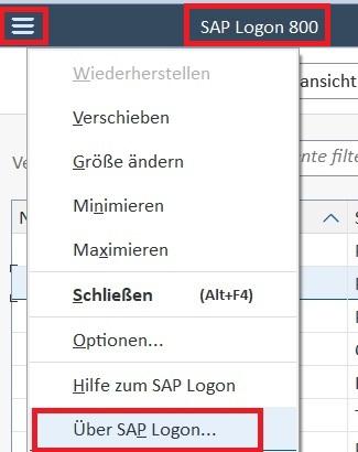 SAP_LogonMenue.jpg