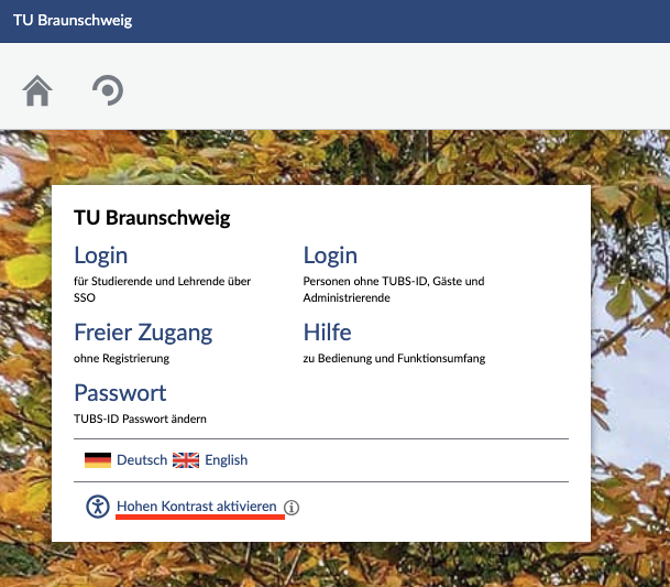 Hohen Kontrast aktivieren