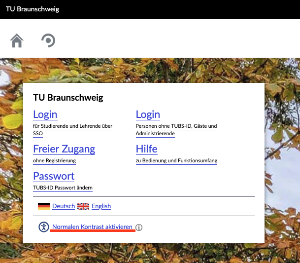 Normalen Kontrast aktivieren
