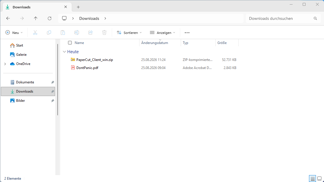 2026-08-25 11_28_20-Downloads – Datei-Explorer.png