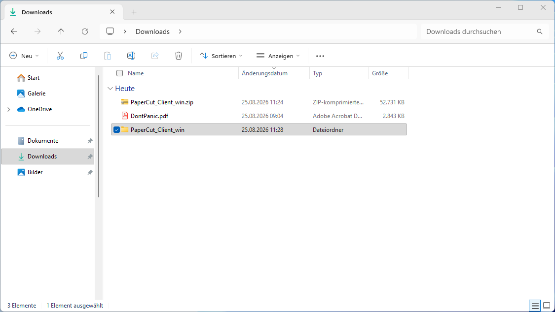 2026-08-25 11_29_12-Downloads – Datei-Explorer.png